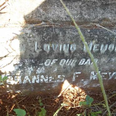 MEYER Coenraad F. -1955 :: MEYER Johannes F.  