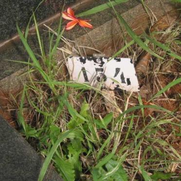 MEETS Joseph -1966 :: MEETS Susan Elizabeth -1955