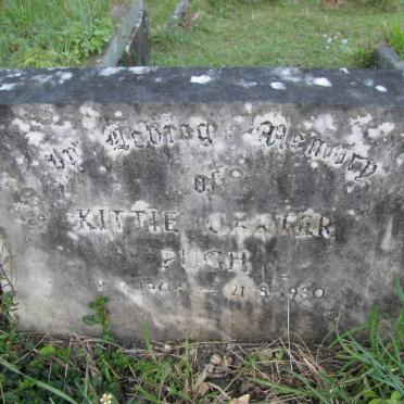 MILLS Catherine nee CARTER -1951 :: MILLS Mattie Iredale -1929 :: PUGH Kittie Carter 1904-1980 