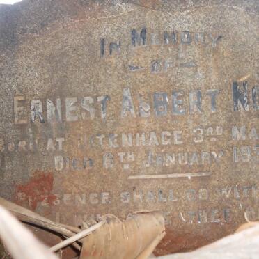 NOYCE Ernest Albert 1868-1933