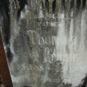 O'REGAN Thomas 1888-1981