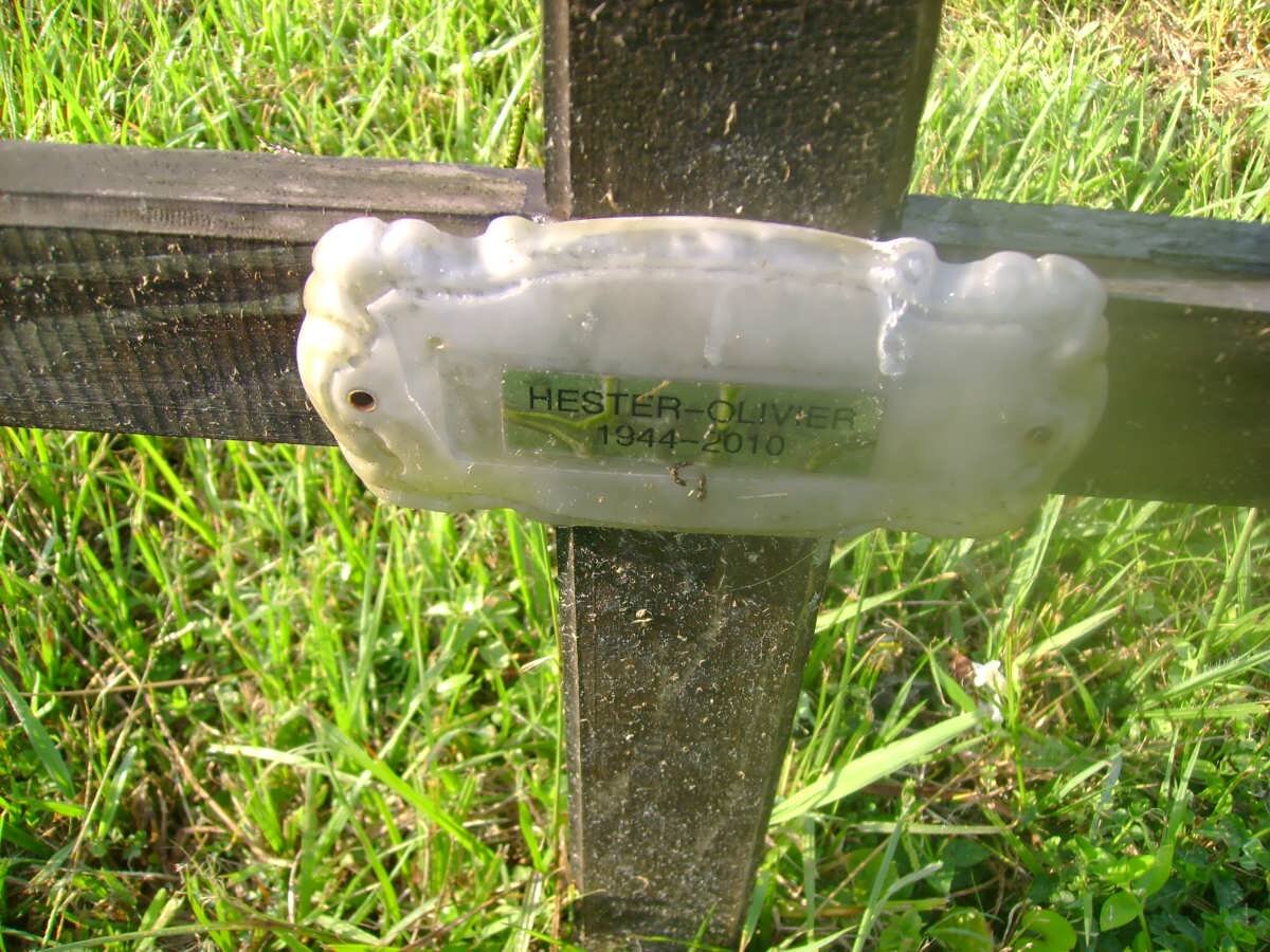 OLIVIER Hester 1944-2010