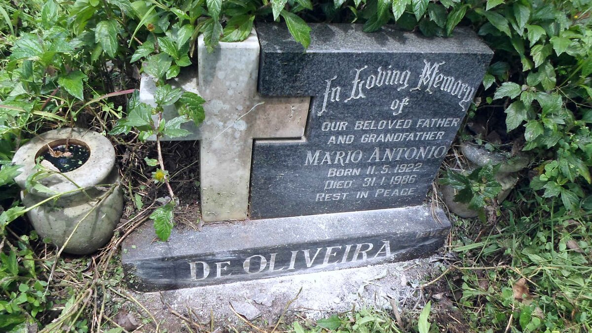 OLIVEIRA Mario Antonio, de 1922-1986