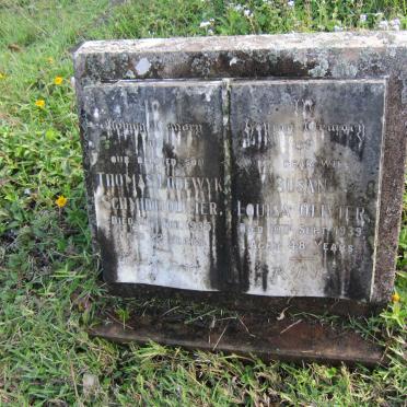 OLIVIER Susan Louisa -1939 :: OLIVIER Thomas Lodewyk Schmidt -1935