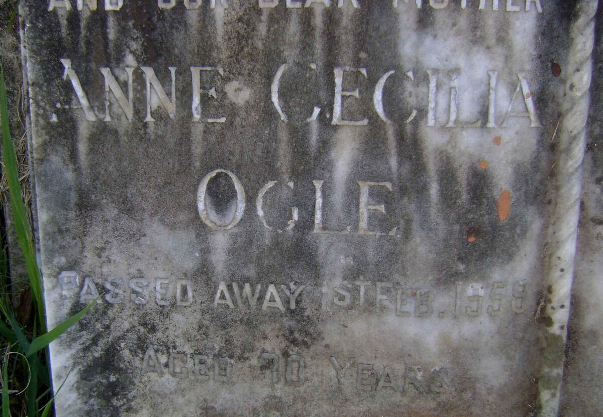 OGLE Anne Cecilia -1959 :: OGLE Wallace Charles 1948-1979 :: OGLE William Wallace 1923-1983