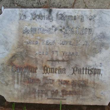 PATTISON Martindale -1913 &amp; Carolina Amelia -1926