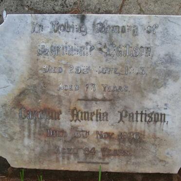 PATTISON Martindale -1913 &amp; Carolina Amelia -1926