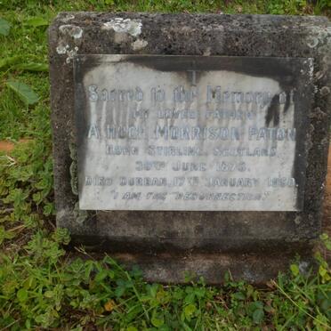 PATON A. Hugh Morrison 1873-1950