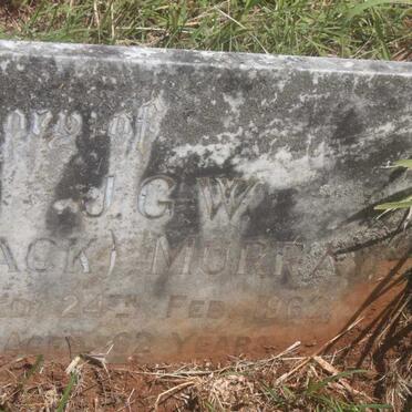 PAYNE Nellie 1902-1924 :: PAYNE George Robert -1934 :: PAYNE Alice Adelaide -1955 :: MURRAY Doris Maude -1957