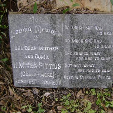 PITTIUS H.M., van nee GALLEYMORE 1891-1970