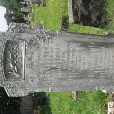 PRINGLE Frances -1935 :: PRINGLE Richard James -1949