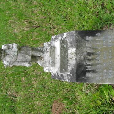 RHEEDER Susanna Ella 1965-1966