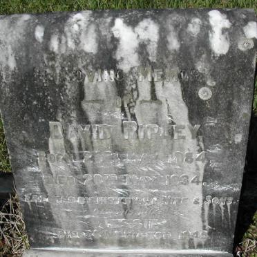 RIPLEY David 1884-1934