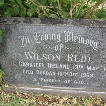 REID Wilson 1881-1968