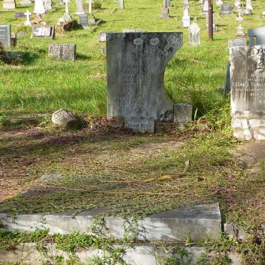 REED George Thomas Thorpe -1932 :: REED Rosie 1896-1986 :: REED Edward 1919-1973 :: REED George Lionel Victor 1932-1995 