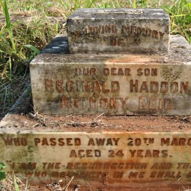 REID Reginald Haddon Anthony -1955