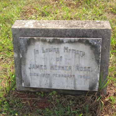 ROSE James Hepher -1960