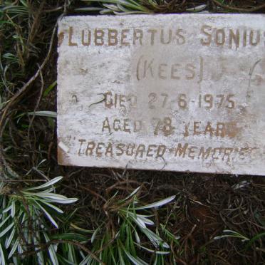 SONIUS Lubbertus -1975