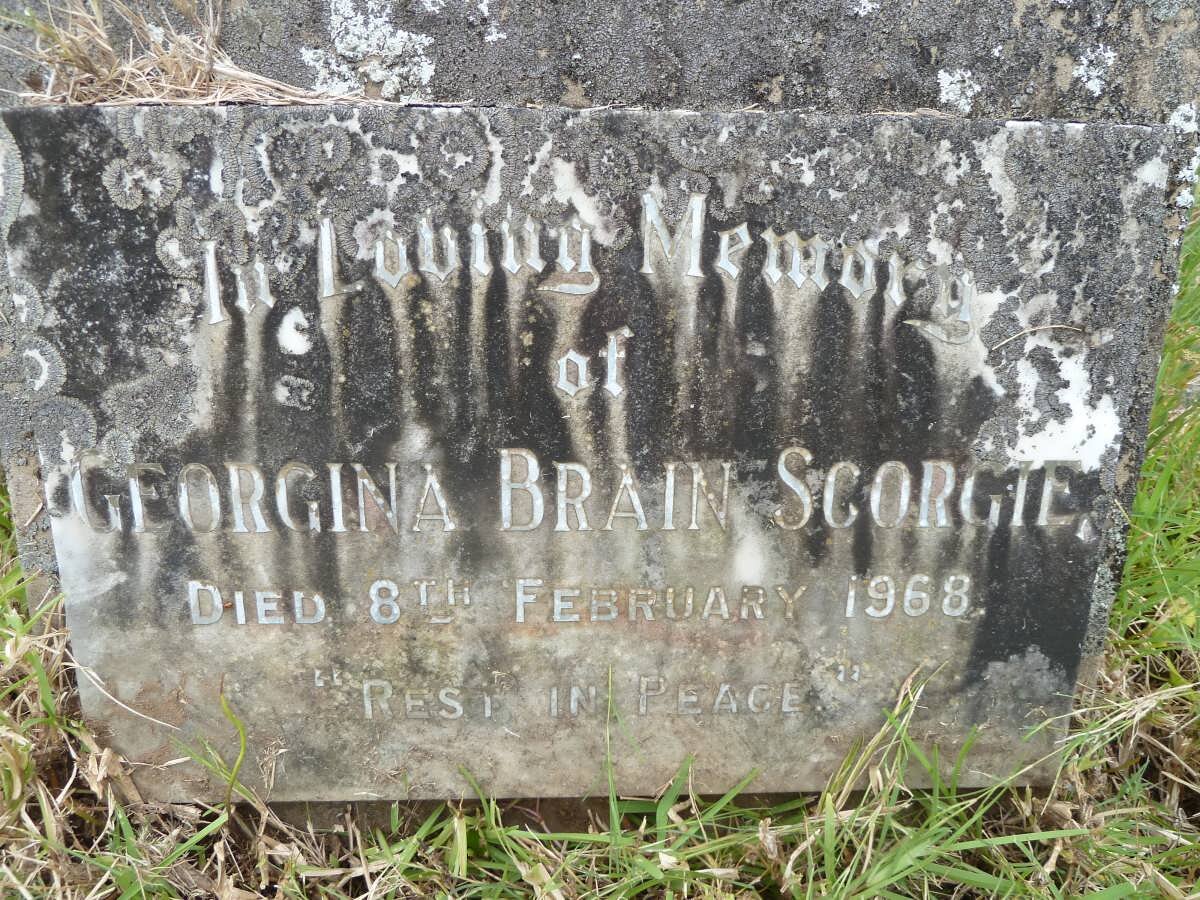 SCORGIE Georgina Brain -1968