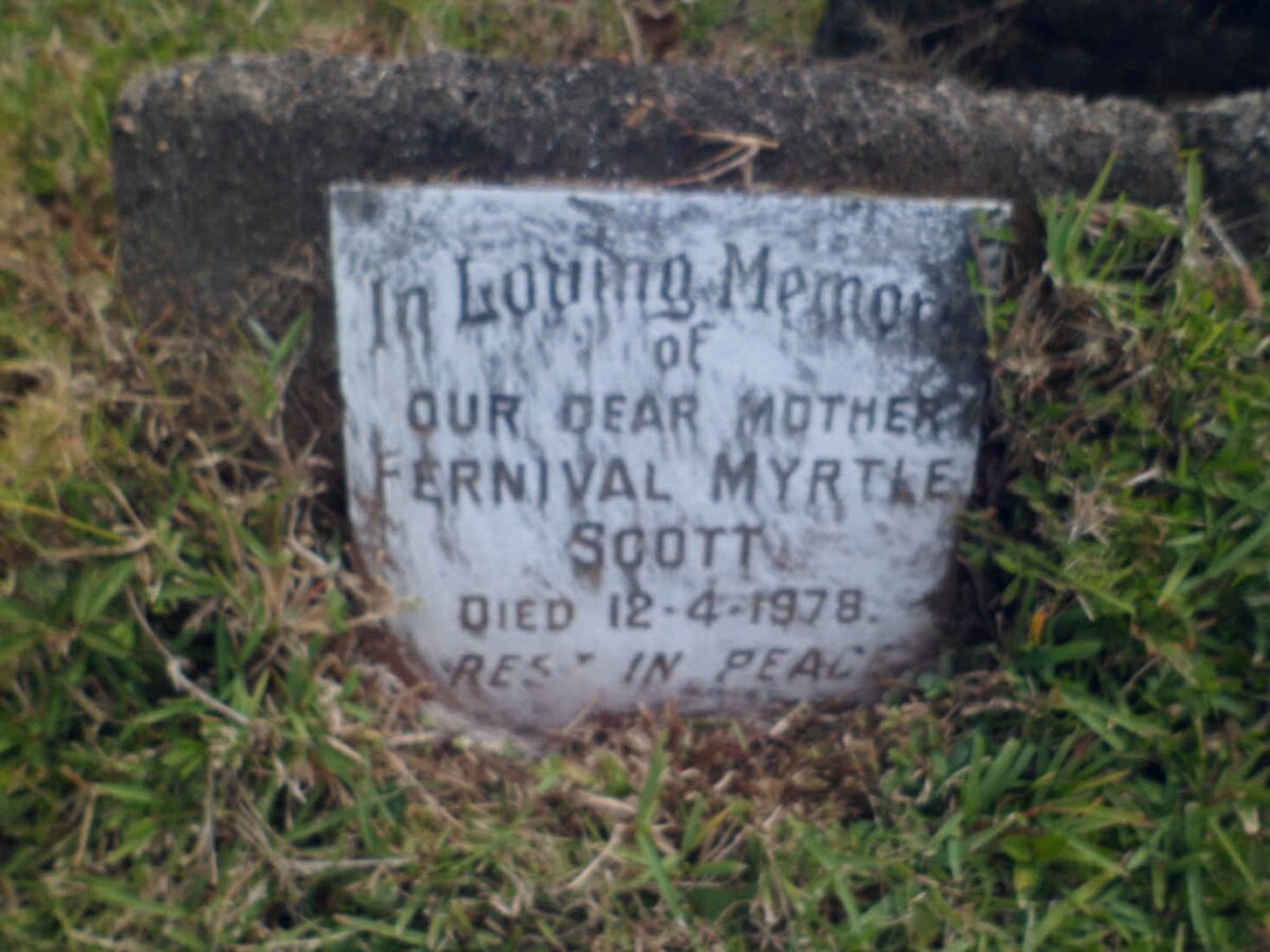 SCOTT Fernival Myrtle -1978