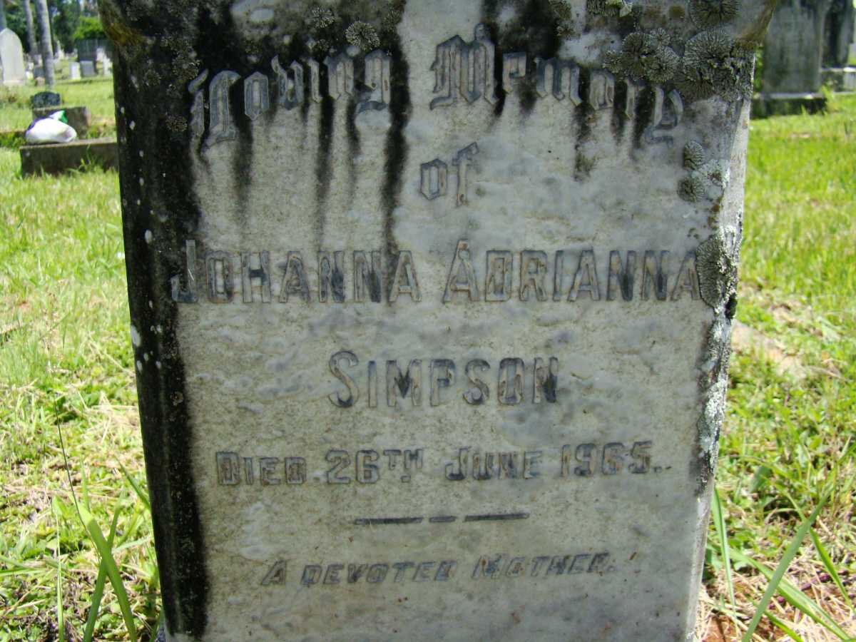SIMPSON Johanna Adrianna -1965