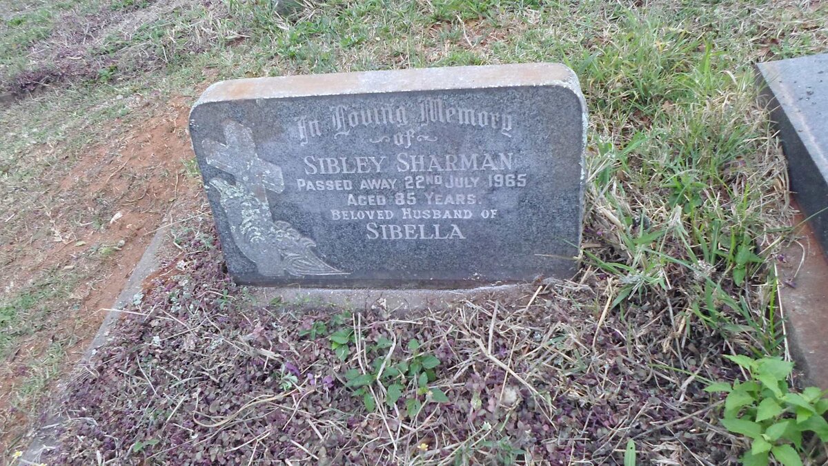 SHARMAN Sibley -1965