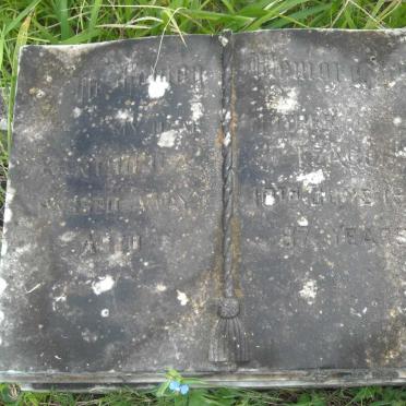 T - Vanne :: Surnames - T