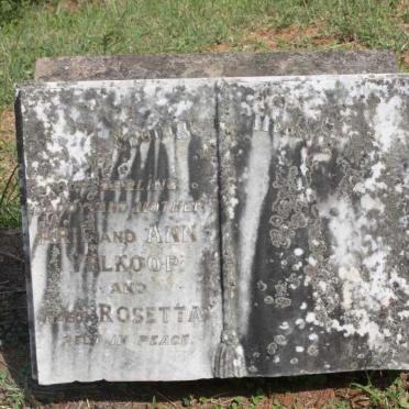 VELKOOP Arie -1925 &amp; Ann -1948 :: VELKOOP Rosetta