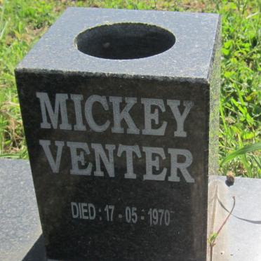 VENTER Sarel J. 1937-2005 :: VENTER Solomon -1971 &amp; Margaret -1958 :: STEYN Barend -1962 &amp; Theresa -1971