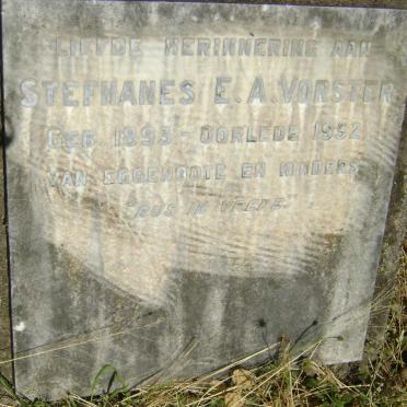 VORSTER Stefhanes E.A. 1893-1952