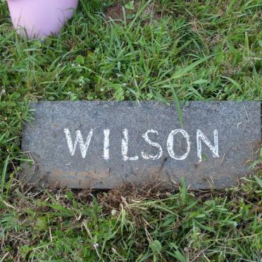 WILSON 