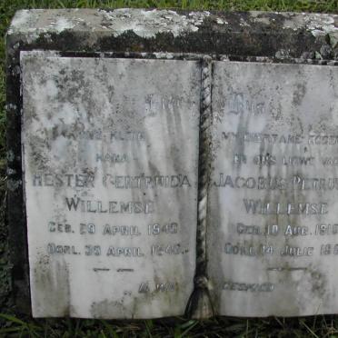 WILLEMSE Jacobus Petrus F.1915-1957 :: WILLEMSE  Hester Gertruida 1945-1946