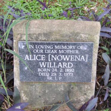 WILLARD Alice 1892-1973
