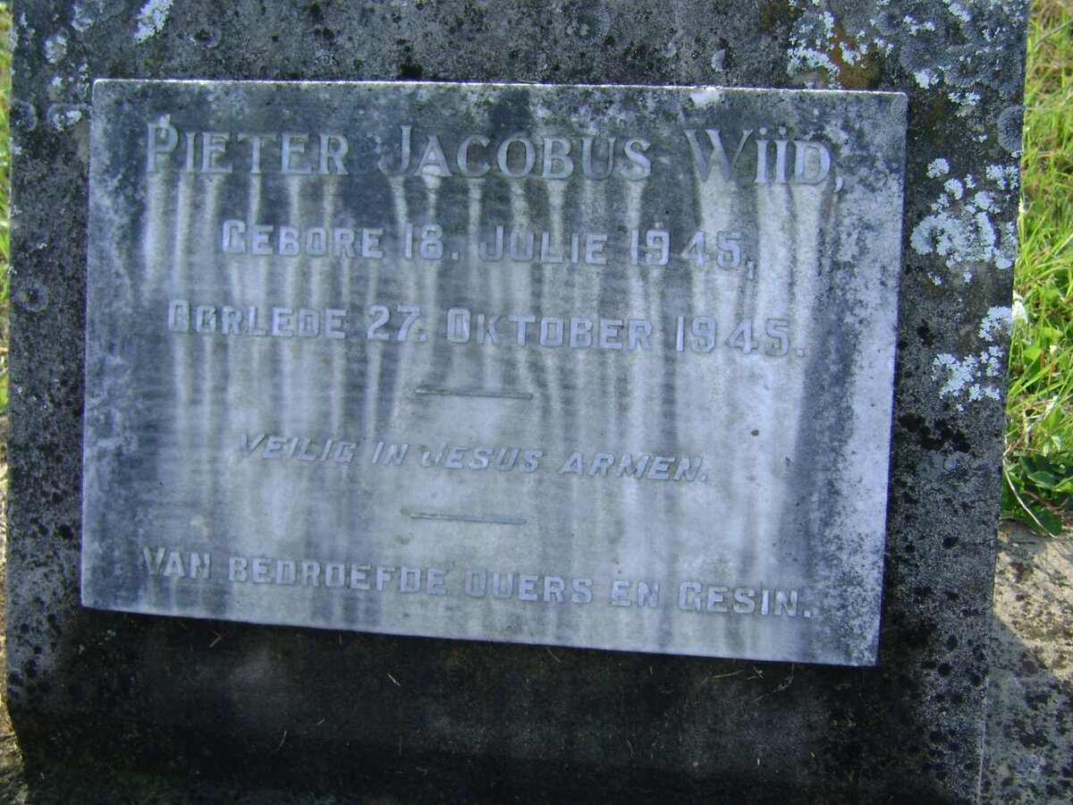 WIID Pieter Jacobus 1945-1945