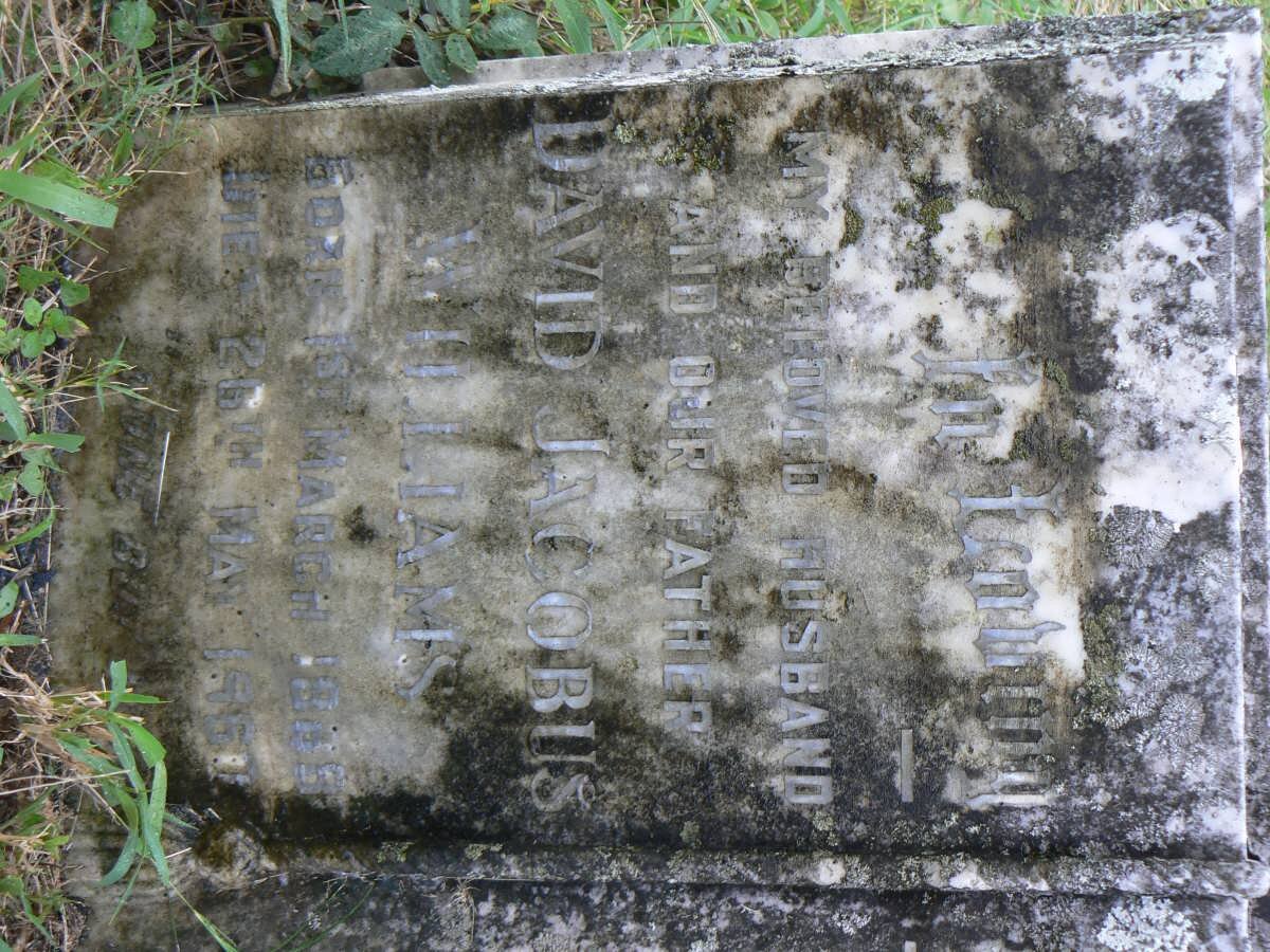 WILLIAMS David Jacobus 1888-1960