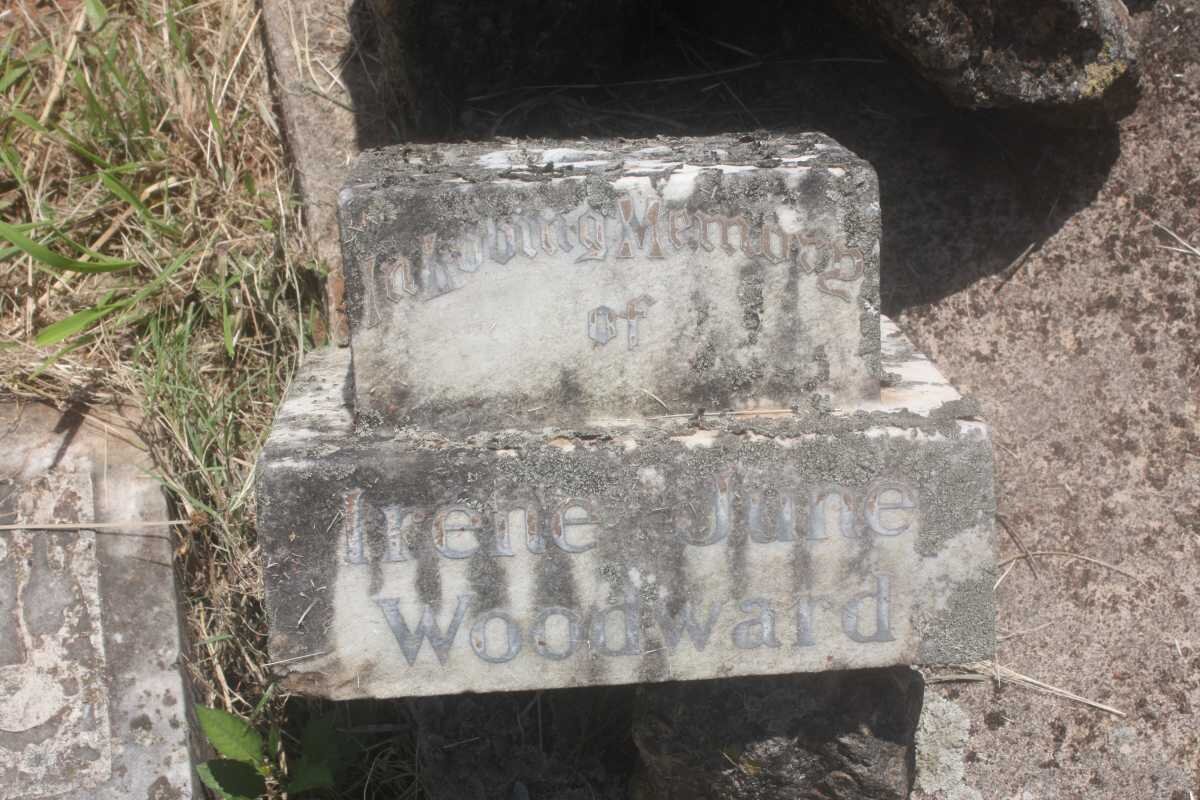 WOODWARD Irene June -1924