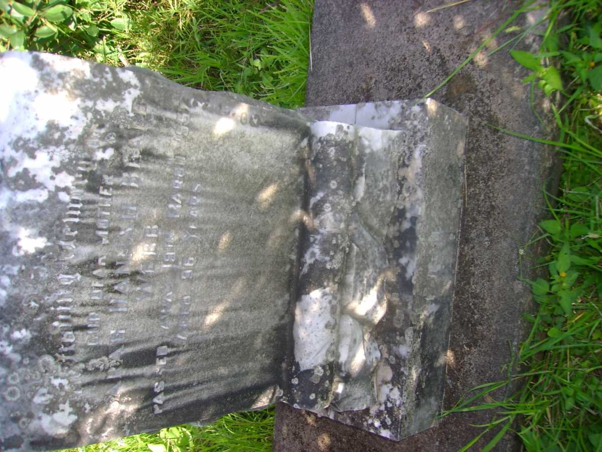 WEBB Sarah Hannah Beale -1957