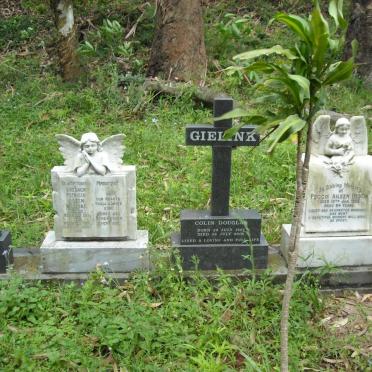 WEDLAKE :: GIELINK :: HESOM