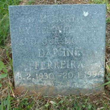 WEBSTER Andrew Maher 1892-1967 &amp; Cecelia Johanna 1893-1976 :: FERREIRA Daphne 1930-1996