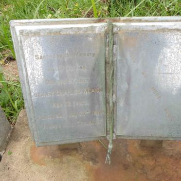 WEAICH :: WADDELL :: LORING