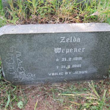 WEPENER Zelda 1981-1981