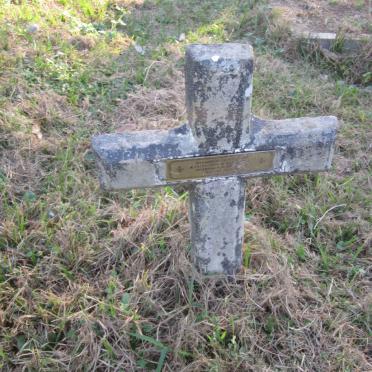 ZULU Mthandeni Cedric 1979-2007