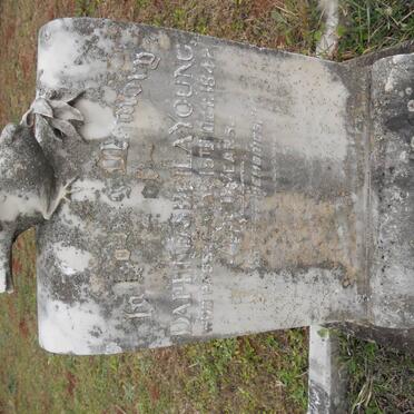 YOUNG Elizabeth Mary 1907-1992 :: YOUNG Daphne Sheila -1942