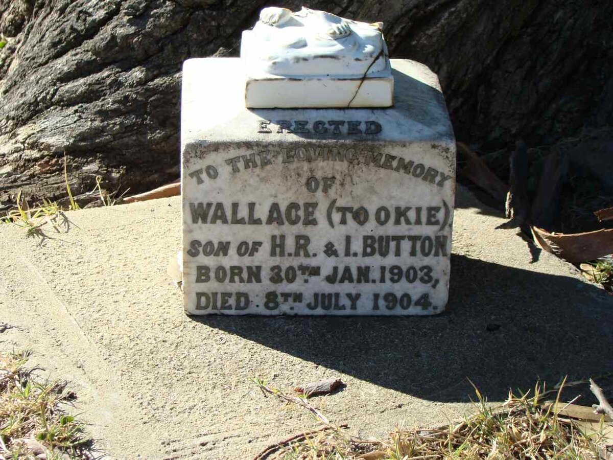 BUTTON Wallace 1903-1904