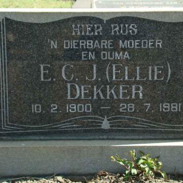 DEKKER E.C.J. 1900-1981