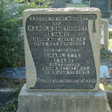 E - Surnames :: Vanne - E