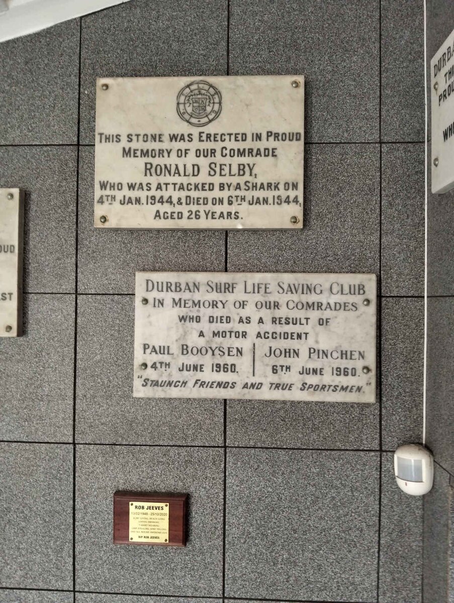 SELBY Ronald -1944 :: BOOYSEN Paul -1960 :: PINCHEN John -1960 :: JEEVES Rob 1949-2020