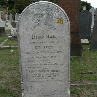 HARVEY Esther Maria -1895 :: HARVEY Fanny Natalia -1907