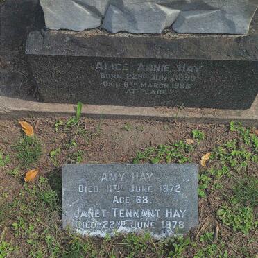 HAY Alice Annie 1898-19?9 :: HAY Amy -1972 :: HAY Janet Tennant -1978