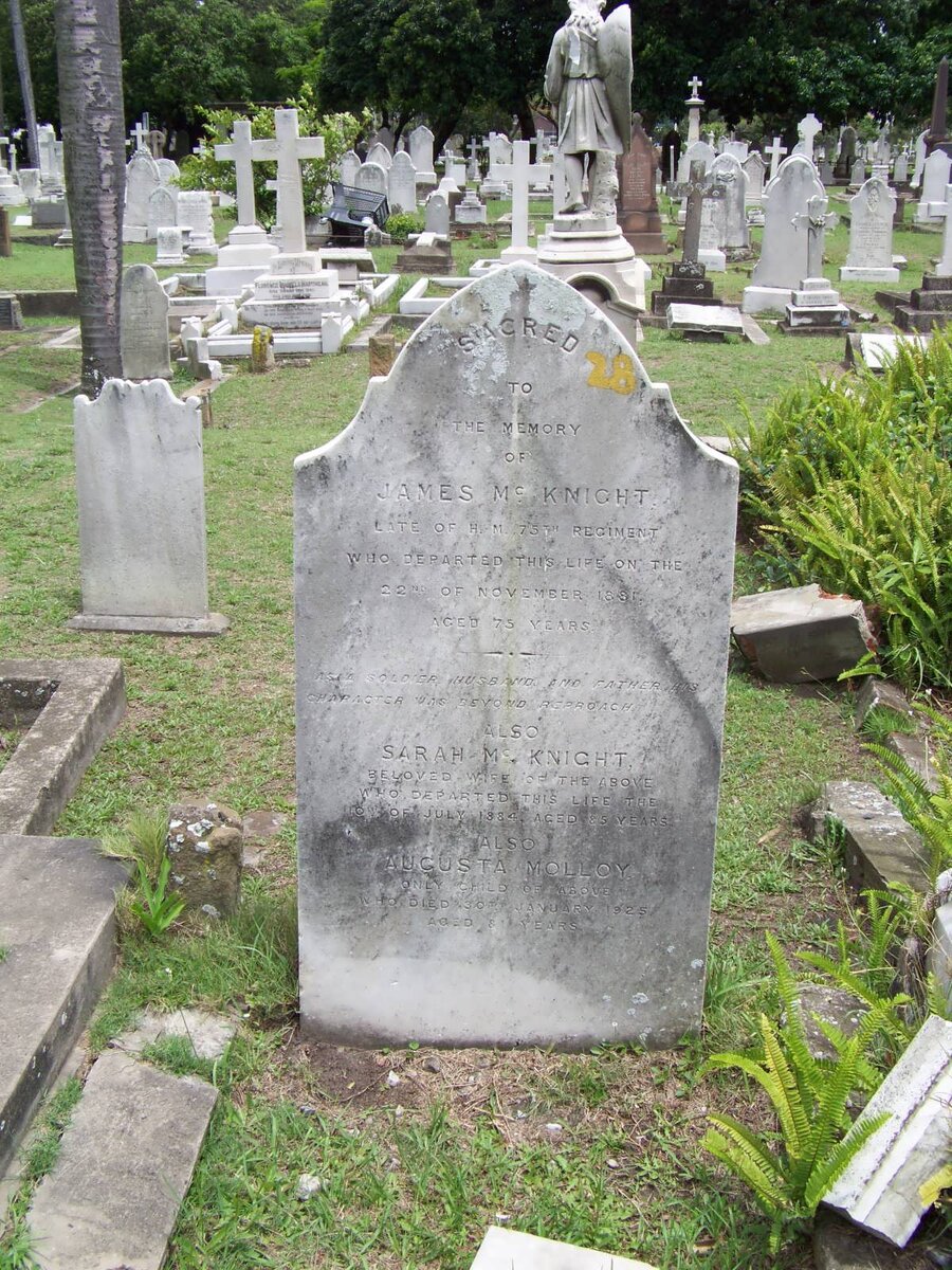 MCKNIGHT James  -1881 &amp; Sarah -1884 :: MOLLOY Augusta nee MCKNIGHT -1925
